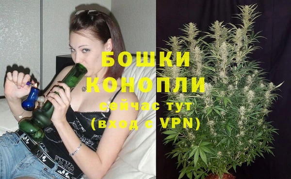 тгк Инта