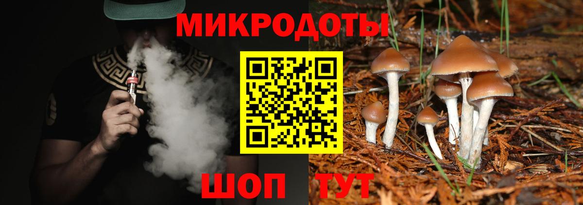 Камышлов  Галлюциногенные грибы мицелий  Вход с VPN 
